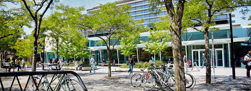 campus-walk-bikes