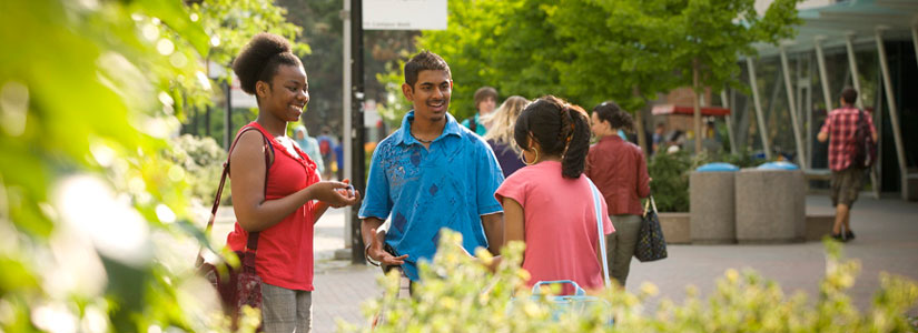 keele-summer-students