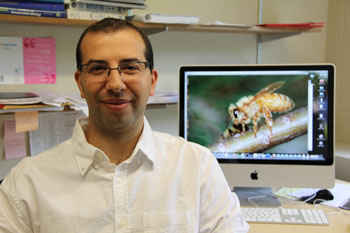 photo of Biology professor Amro Zayed