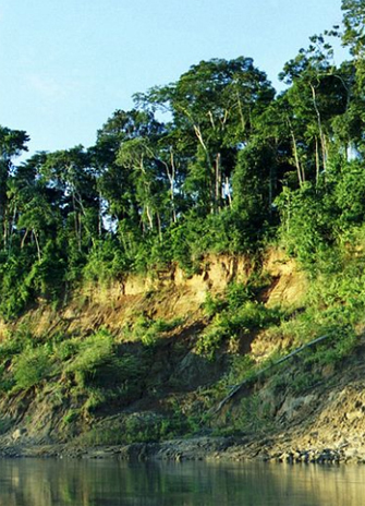 photo of a river bank in the Peruvian Amazon