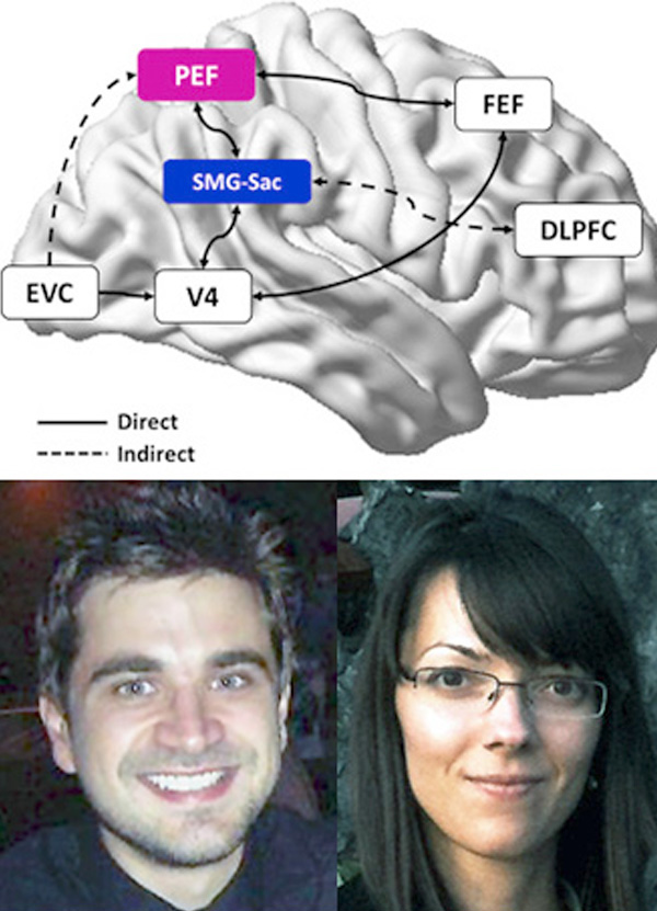 composite image of the brain with photos of Ben Dunkley and Bianca Baltaretu