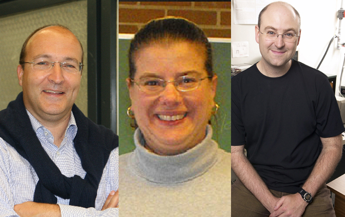composite photo of Professors Georg Zoidl, Vivian Saridakis, and Logan Donaldson