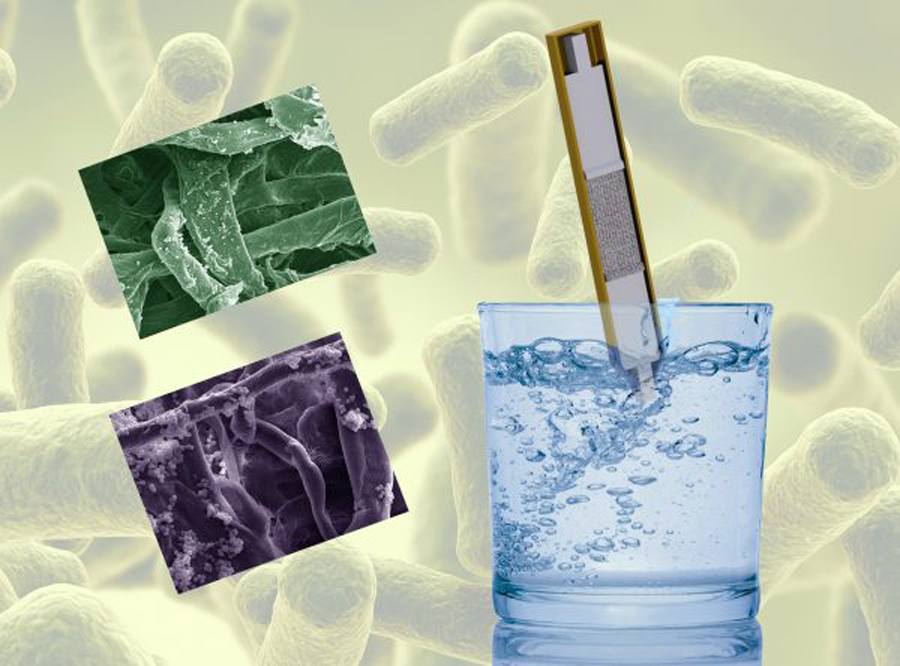 composite image of water glass superimposed over micro-organisms