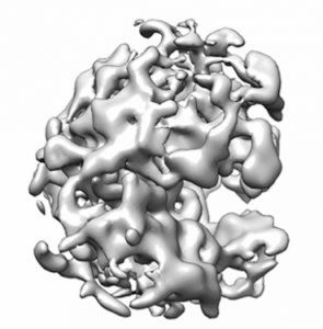 graphic representation of a protein