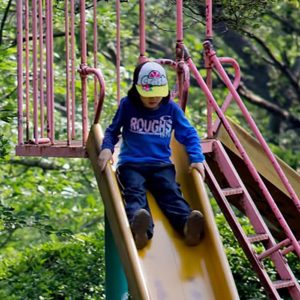 photo of a child on a slide
