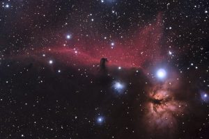 The Horsehead Nebula. Photo by recent York Science student Richard Bloch