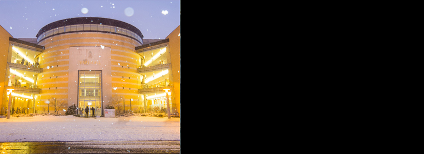 Fgs thesis guidelines image